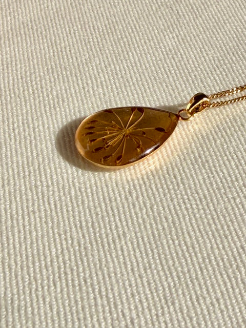 Botanische gouden hanger met fijn lijnenspel van karwijzaad