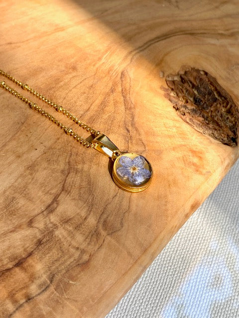 Blauw Vergeet-Me-Nietje- in gold-plated hangertje