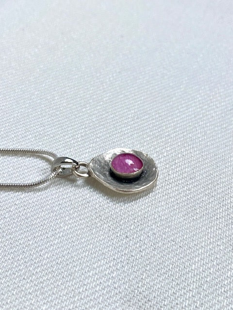 Kleine verzilverde hanger met echt rozenblad