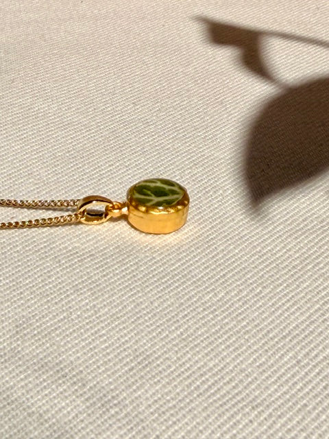 Gouden botanical mini hanger gevuld met fittonia mozaïekplant