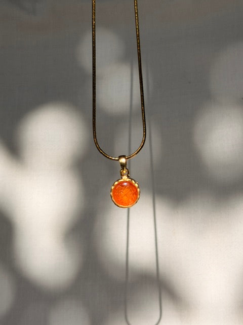 Botanische hanger met fijne nerven van een lampionplant