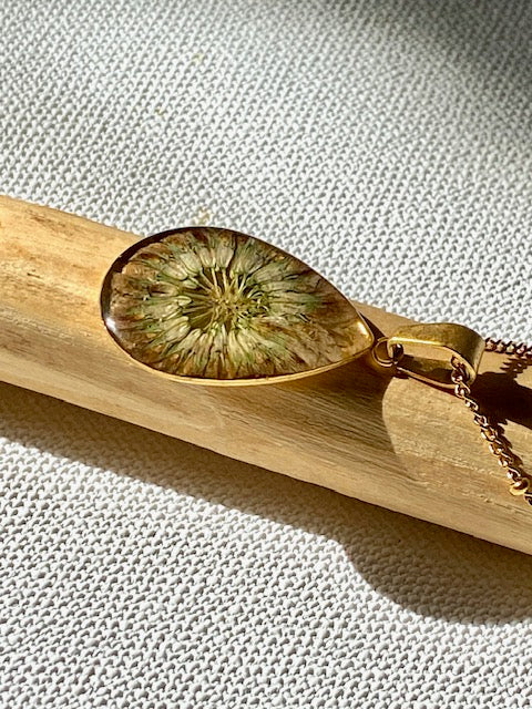 Dried Clover Flower in a gold plated drop pendant