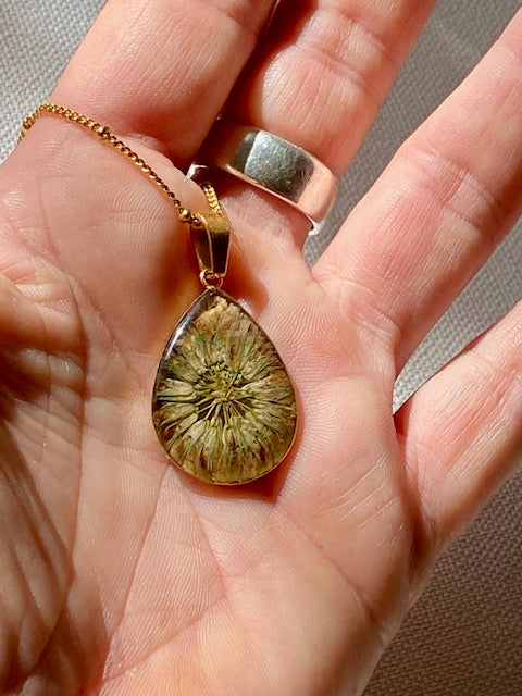 Dried Clover Flower in a gold plated drop pendant