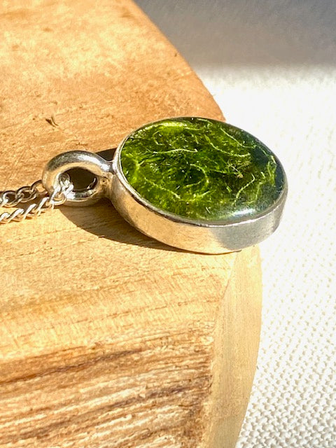 Schitterende verzilverde ronde hanger met mos.
