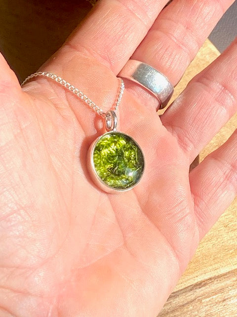 Schitterende verzilverde ronde hanger met mos.