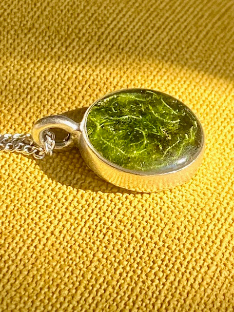 Schitterende verzilverde ronde hanger met mos.