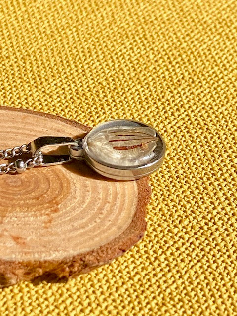 Nature pendant with beige/brown seed of a Hogweed.