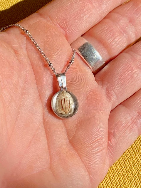 Nature pendant with beige/brown seed of a Hogweed.