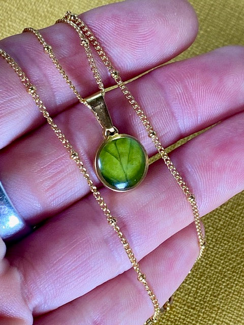 Ketting met groen blad