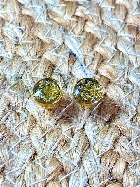 gold plated botanische oorstekers met witte schermbloemen