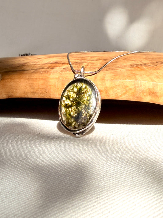 Ovale botanische hanger met echt mos – verzilverd brass