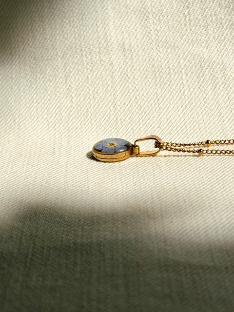 Echt blauw vergeet-me-nietje in kleine ronde goudkleurige hanger BeLeaf Art