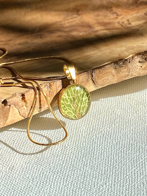 Groen blad, witte bladnerven in ronde hanger.