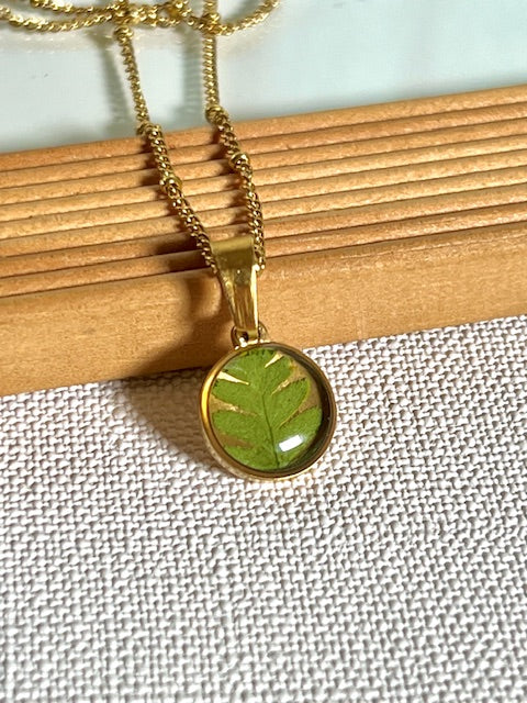 hangertje met groen blad van varen