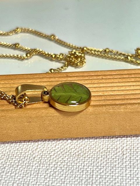 hangertje met groen blad van varen