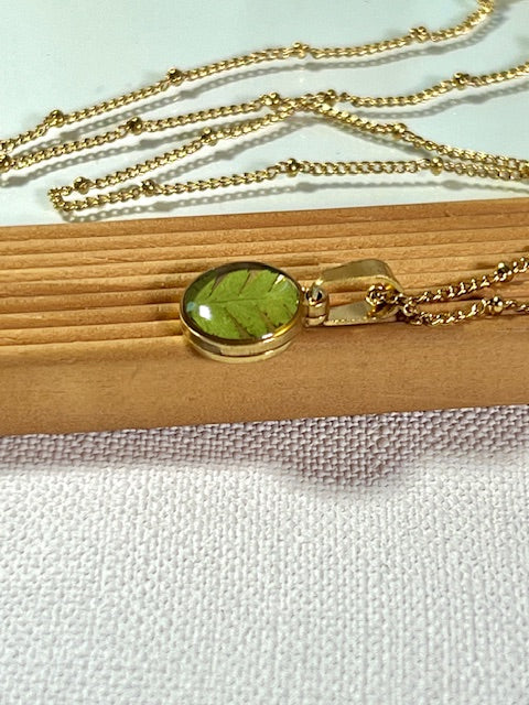 hangertje met groen blad van varen