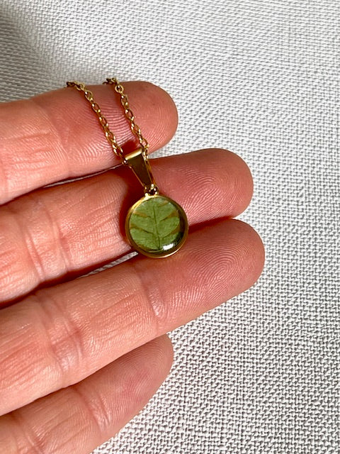 hangertje met groen blad van varen