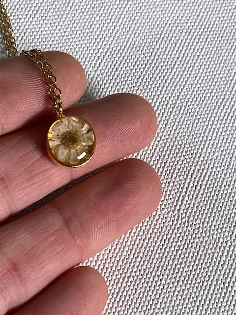 kievitsbloem in brass hanger