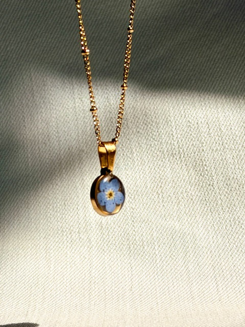 Goude ketting met echt blauw vergeet-me-nietje in kleine ronde hanger BeLeaf Art