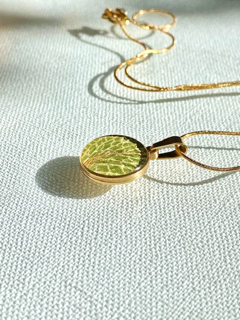 Groen blad, witte bladnerven in ronde hanger.