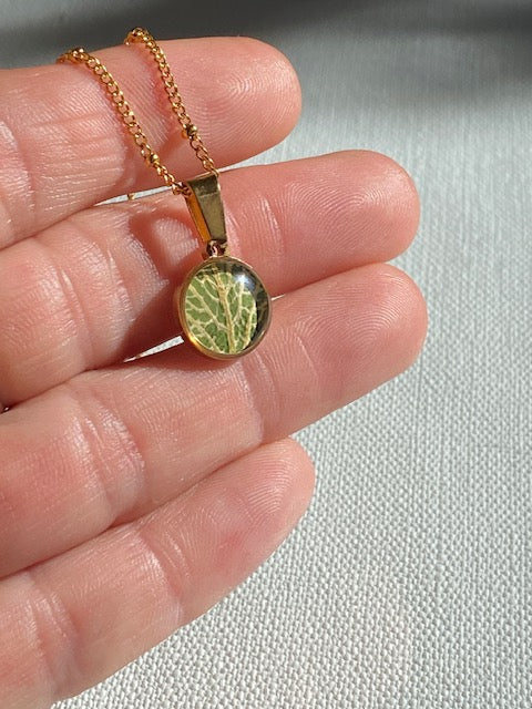 Aan deze 18k vergulde ketting hangt een prachtig hangertje met een detail van de fittonia plant.