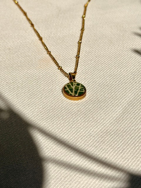 Handgemaakte Fittonia hanger met groen blad en opvallende lichte nerven