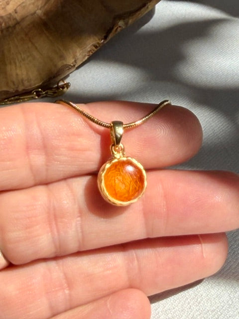 BeLeaf Art ketting met echte lampionplant en snake ketting