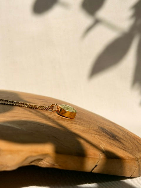 Handgemaakte gouden hanger met echt groen fittonia blad