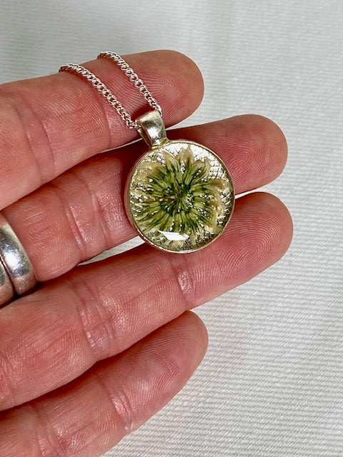 Witte klaverbloem in zilverkleurige hanger