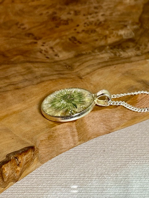 Witte klaverbloem in zilverkleurige hanger