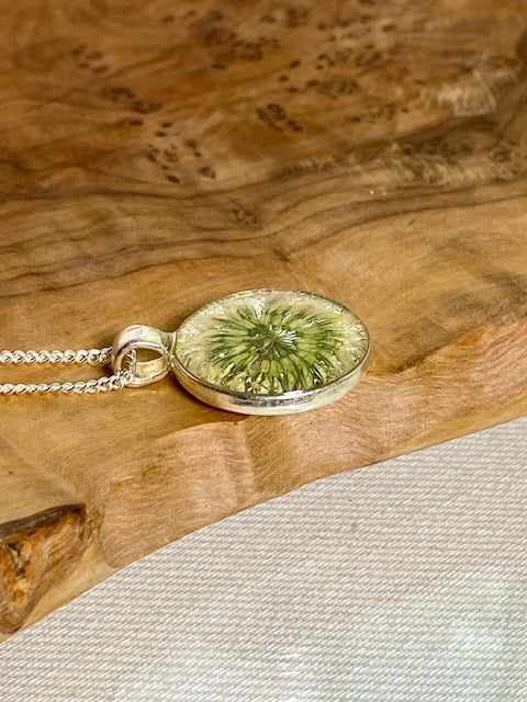 Witte klaverbloem in zilverkleurige hanger
