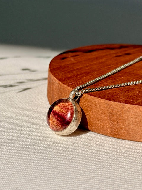 Tulpenblad in verzilverde ronde hanger -
