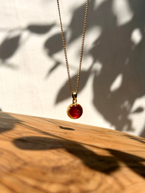 Botanical jewelry met echt dahlia blad in gouden ronde hanger