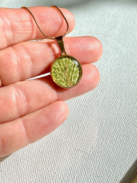 Groen blad, witte bladnerven in ronde hanger.