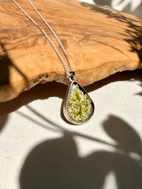 Zilveren hanger met echte schermbloem in druppelvorm
