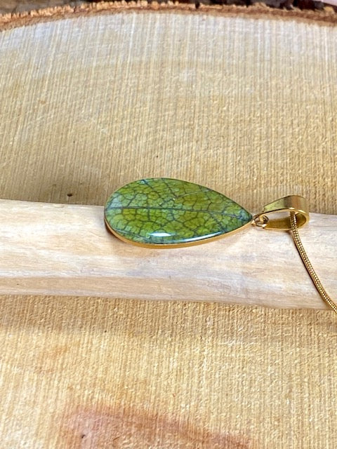 Goudkleurige druppel hanger met het mooie groene blad van Klimmende Winde.