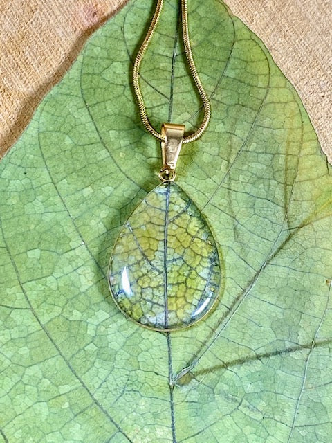 Goudkleurige druppel hanger met het mooie groene blad van Klimmende Winde.