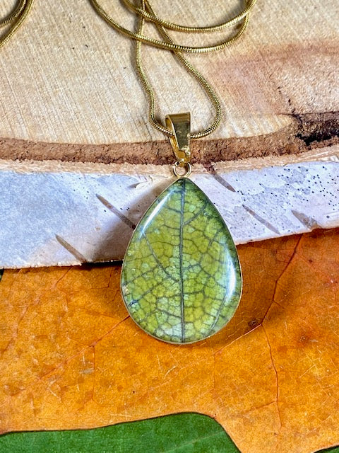 Gold-colored drop pendant with the beautiful green leaf of Climbing Bindweed.